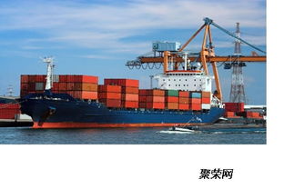 青島出口貨運訂艙代理與國內貨物運輸代理服務詳解